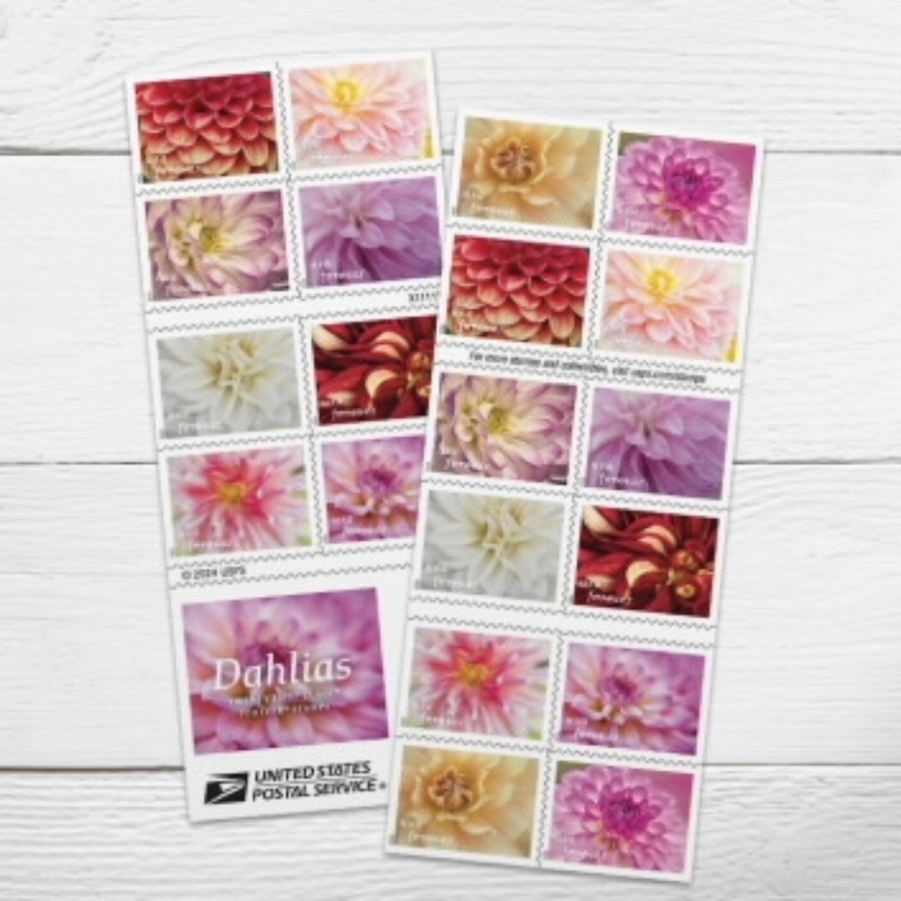100 Dahlias 2025 Forever Stamps Wedding Invitations USPS Save The‎ Date